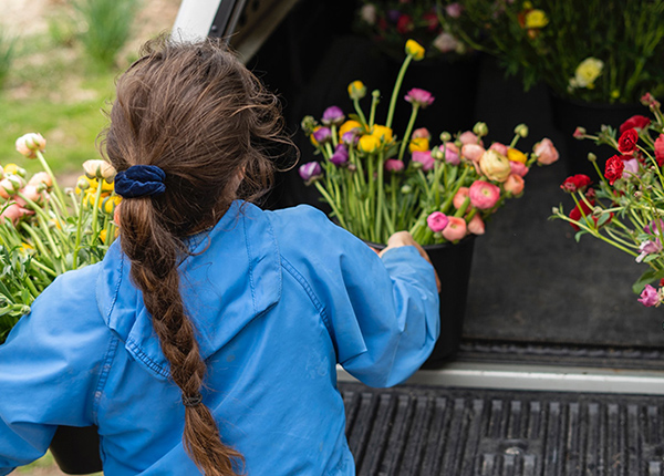Woman pulling buckets of flowers out of the back of a truck