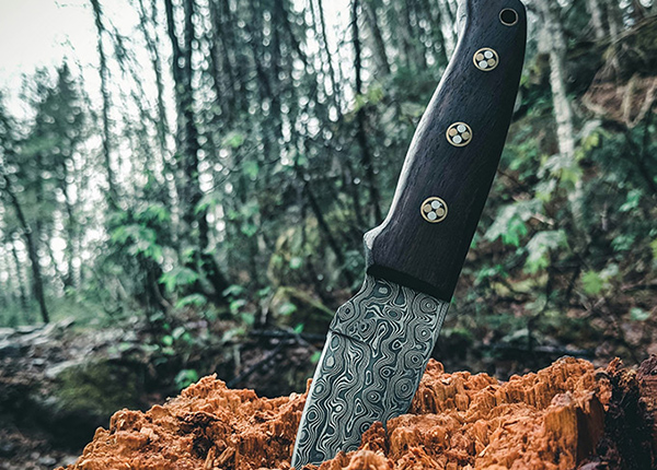 Unique knife pressed into a log