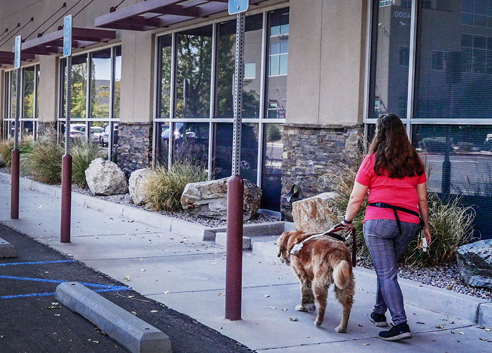 Woman who uses a guide dog walking into a building