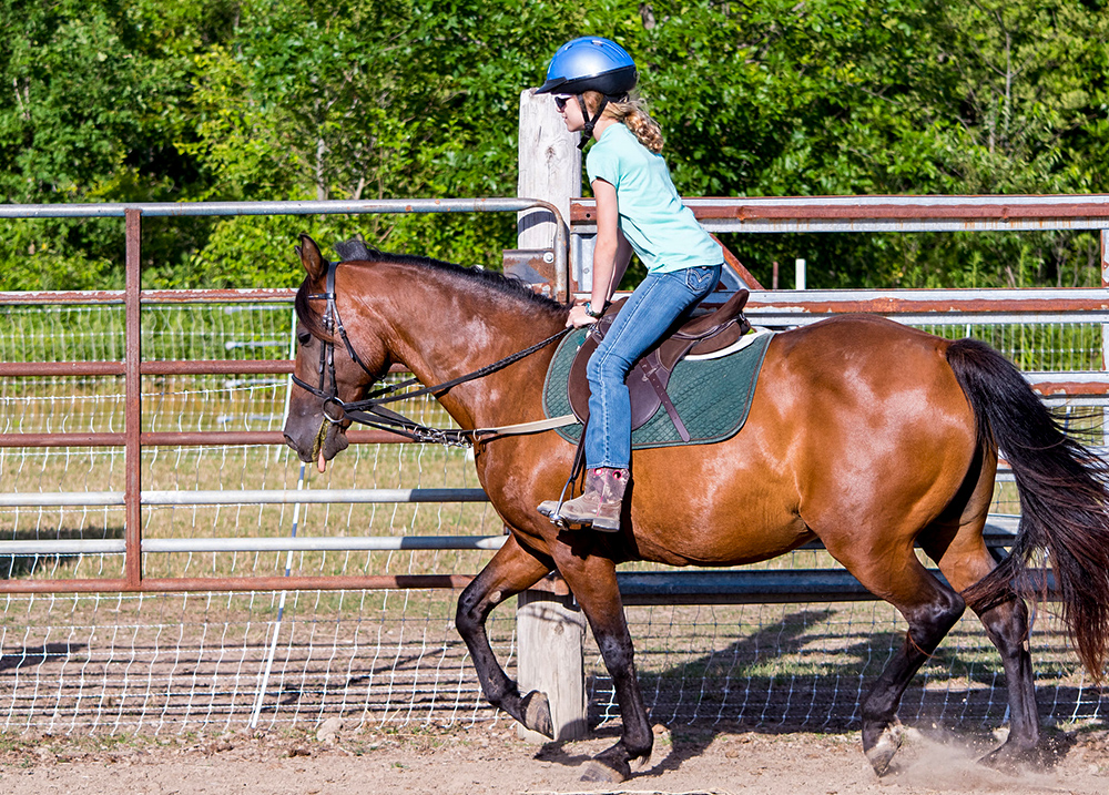 Young girl riding a horse