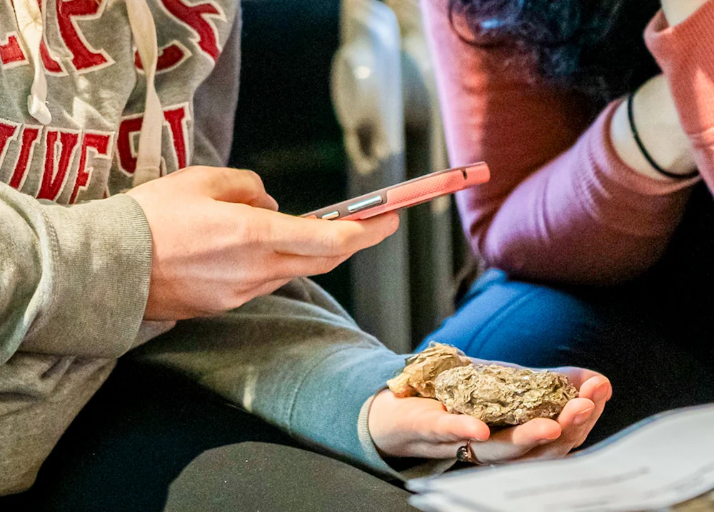 Person taking a photo of a rock