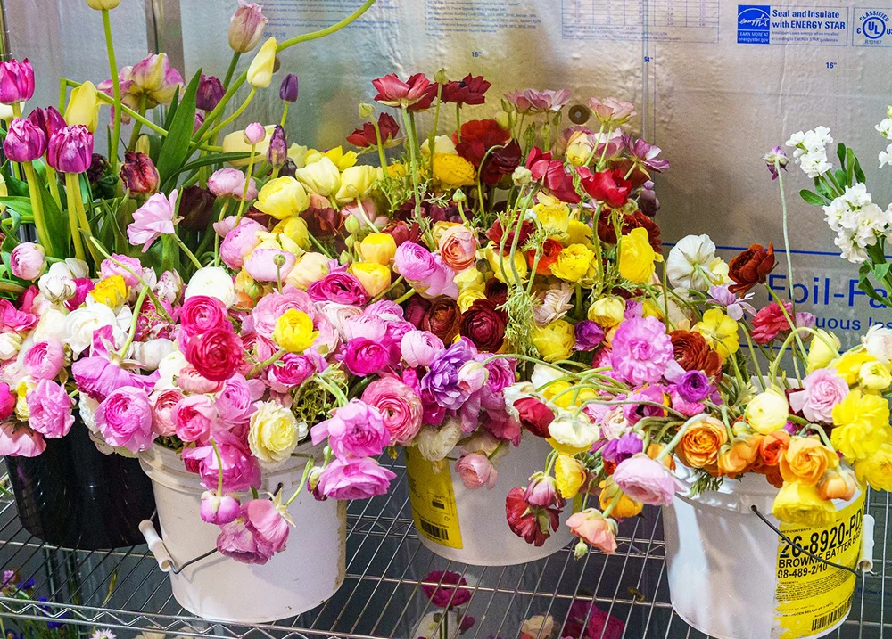 Flowers in buckets on a shelf