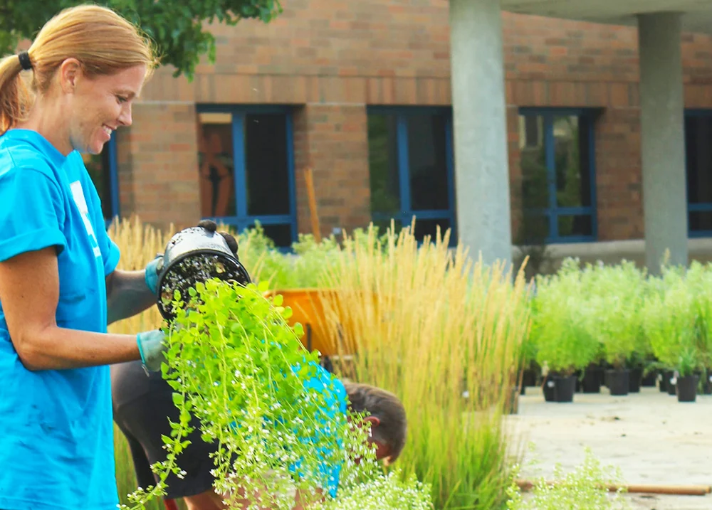Woman planting shrubs