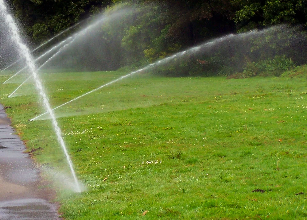 Sprinklers watering a green lawn