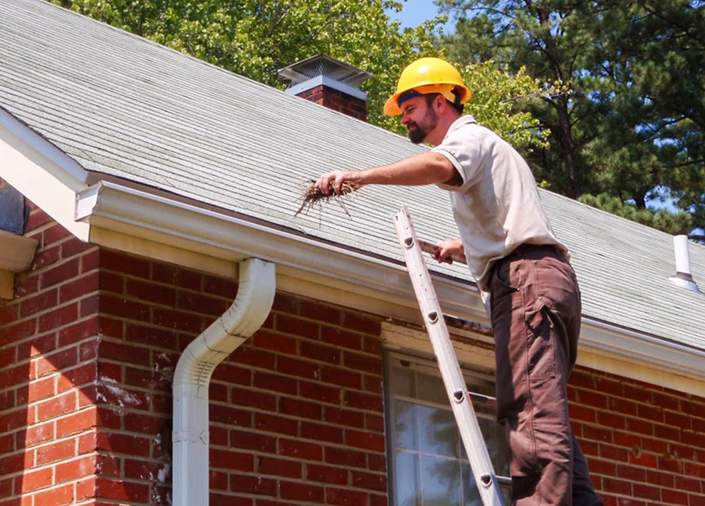 Man standing on a ladder cleaning pine needles out of gutters