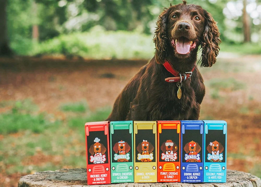 A dog sits with an assortment of colorful treat boxes in front of it